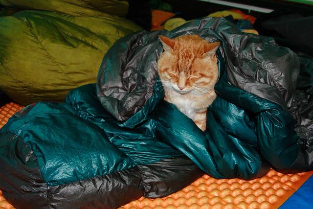 野外露營,教你如何正確保養露營的睡袋