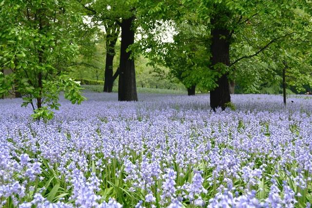 紐約自由行必去20大景點推薦,沒去過別說到過紐約