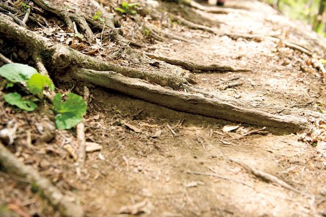 戶外活動中的行走技巧,安全的行走方法