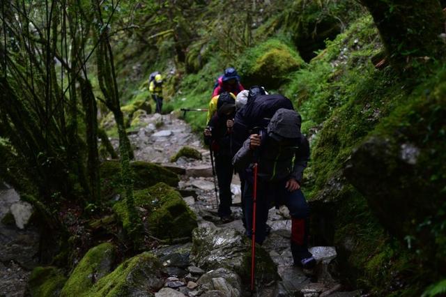 薩洛蒙(Salomon)徒步鞋X ULTRA 3,戶(hù)外徒步登山實(shí)測(cè)