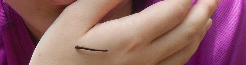 參加戶外活動,這些潛在危險你知道嗎？