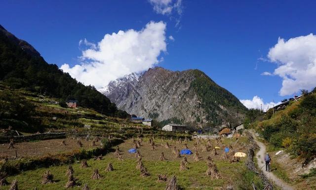 尼泊爾經典徒步路線,馬納斯魯峰大環線MCT雪山徒步攻略