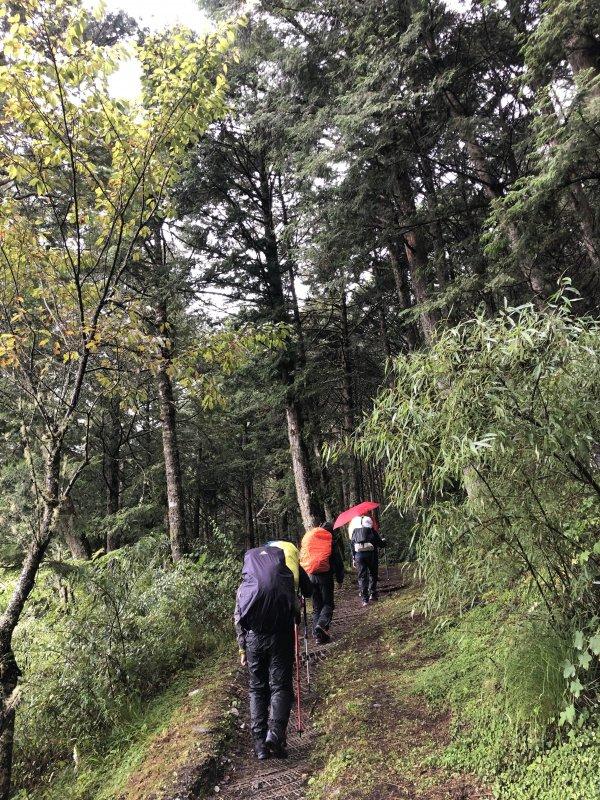 薩洛蒙(Salomon)徒步鞋X ULTRA 3,戶(hù)外徒步登山實(shí)測(cè)