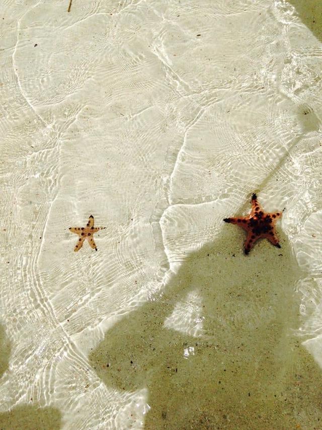 菲律賓宿務薄荷島自由行,五天四夜旅游攻略