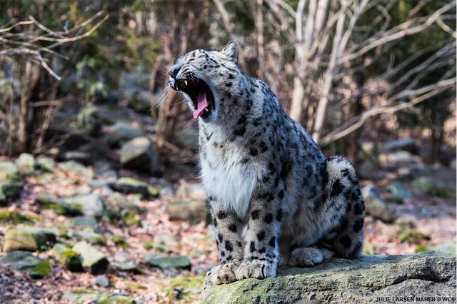 紐約自由行必去20大景點推薦,沒去過別說到過紐約