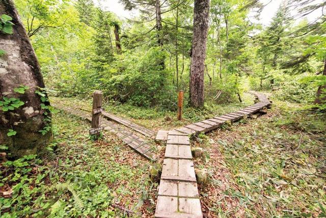 戶外活動(dòng)中的行走技巧,安全的行走方法