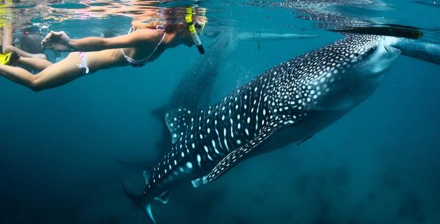 菲律賓宿務薄荷島自由行,五天四夜旅游攻略