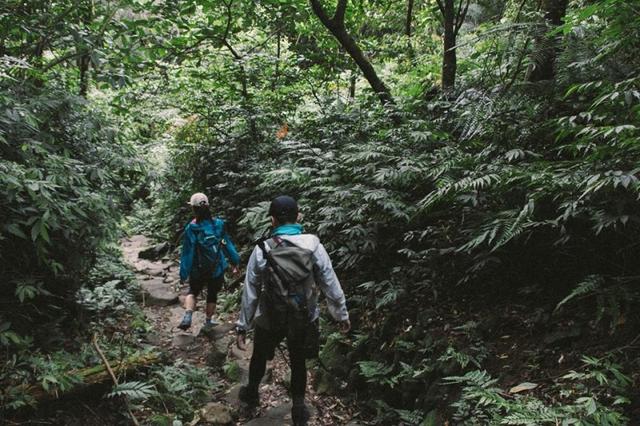 登山護(hù)膝哪個(gè)牌子好?新入手LP護(hù)膝開箱測(cè)評(píng)