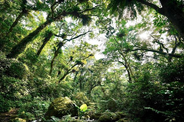 溯溪鞋也能當涼鞋,KEEN(科恩)戶外鞋親身體驗評測