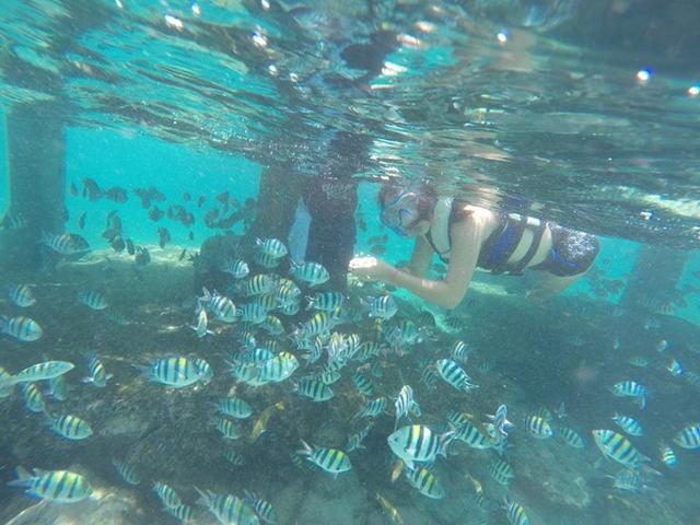 菲律賓宿務薄荷島自由行,五天四夜旅游攻略