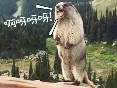 沖鋒衣哪個(gè)牌子質(zhì)量好,買沖鋒衣先看該怎么選沖鋒衣