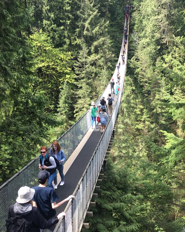 加拿大溫哥華自由行,這些景點一起要去好好玩
