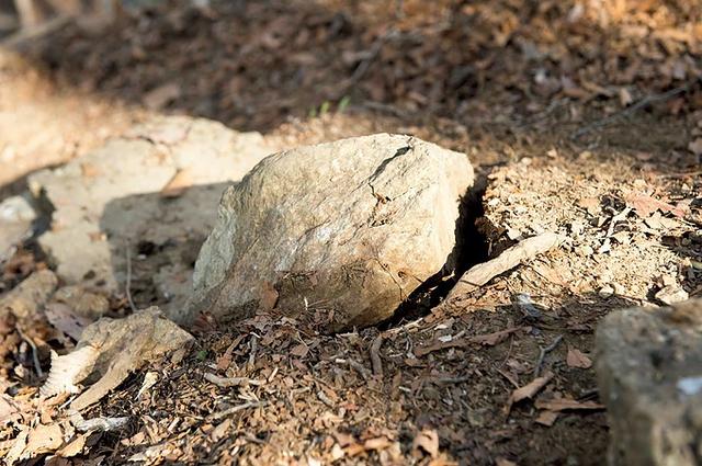 戶外活動(dòng)中的行走技巧,安全的行走方法