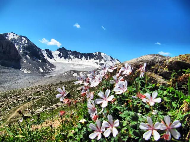 新疆旅行攻略,新疆徒步到底應(yīng)該怎么玩？