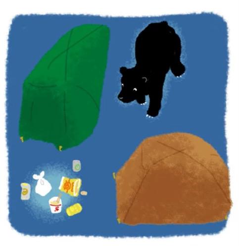 野外露營知識,解決露營新手的各種疑問