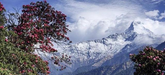 尼泊爾徒步最好的季節就快到來,你想走哪條經典徒步線路?