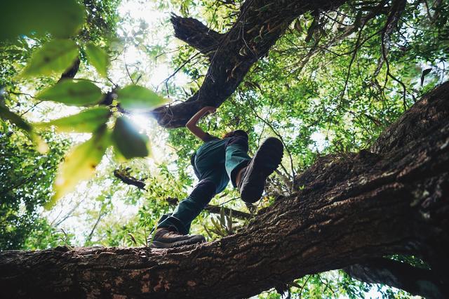 為自己選雙舒適的登山鞋,KEEN TARGHEE III 登山鞋測評