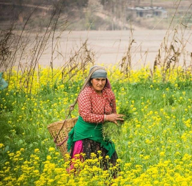 尼泊爾自由行,尼泊爾值得去的理由