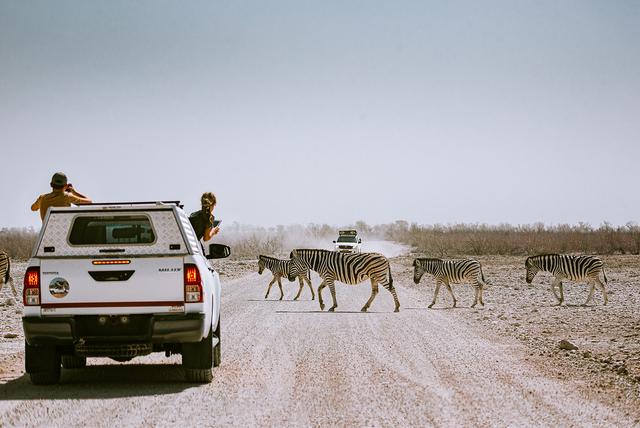 納米比亞自助游旅行指南,埃托沙國(guó)家公園介紹與旅行建議 納米比亞自助游旅行指南,埃托沙國(guó)家公園介紹與旅行建議