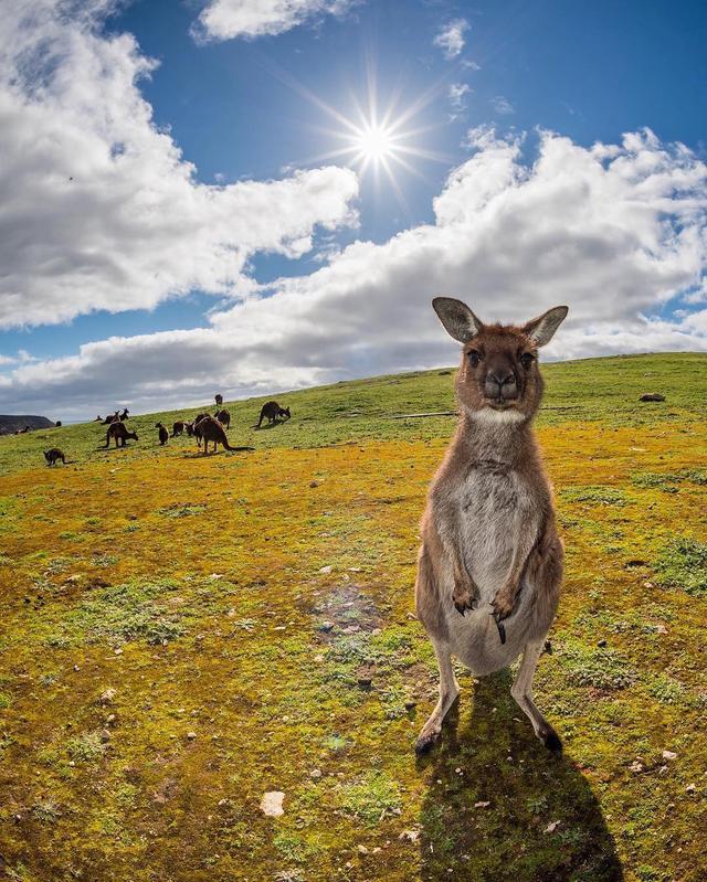 澳大利亞自由行,不可錯過的十大戶外旅游體驗