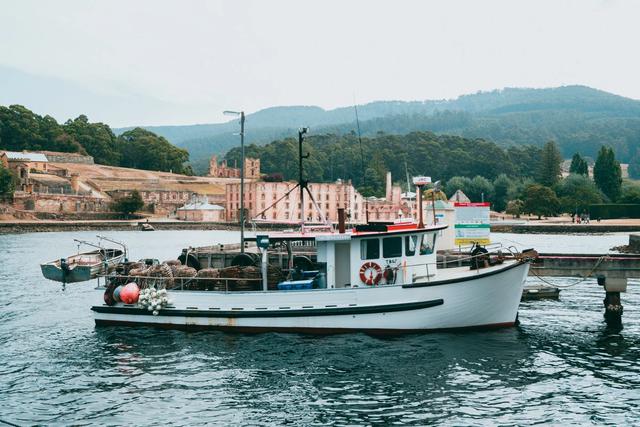 澳大利亞自由行攻略,塔斯馬尼亞島一起自駕游