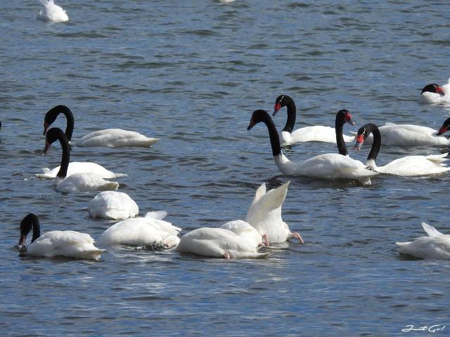 阿根廷自由行攻略,佩里托莫雷諾冰川徒步旅行一日游