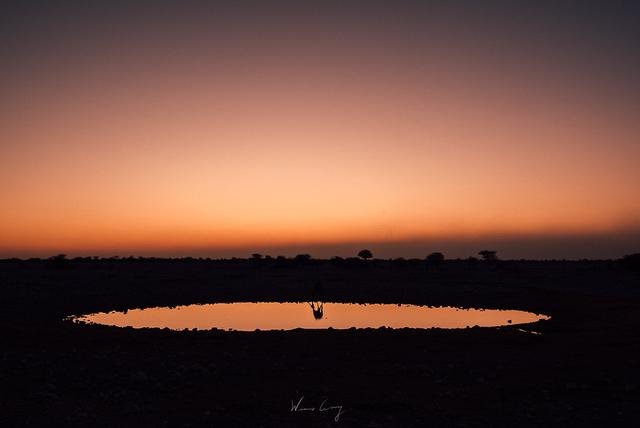 納米比亞自助游旅行指南,埃托沙國家公園介紹與旅行建議