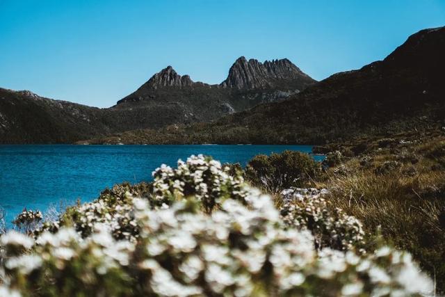澳大利亞自由行攻略,塔斯馬尼亞島一起自駕游