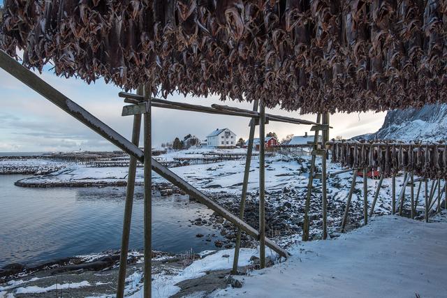 出境游值得去的旅行目的地,羅弗敦群島與巴塔哥尼亞
