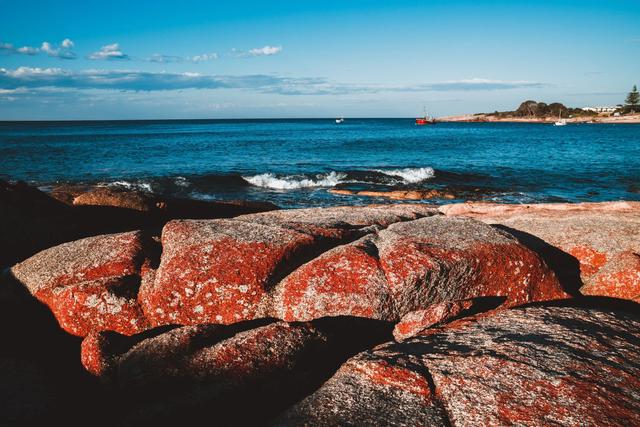 澳大利亞自由行攻略,塔斯馬尼亞島一起自駕游