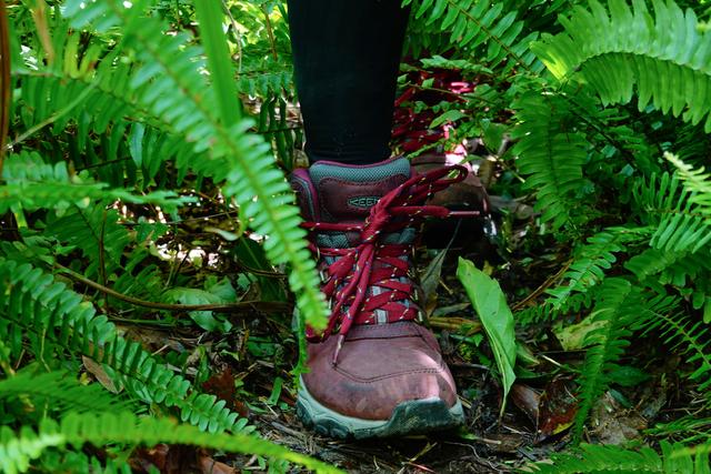 不入后悔的專(zhuān)業(yè)登山鞋,KEEN和Sherpa聯(lián)名款戶(hù)外登山鞋實(shí)測(cè)