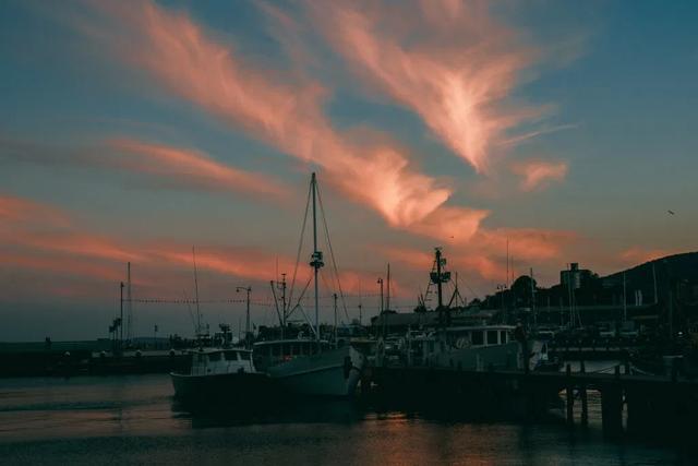 澳大利亞自由行攻略,塔斯馬尼亞島一起自駕游