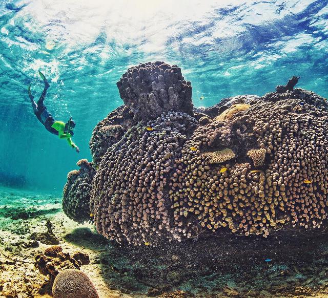 澳大利亞自由行,不可錯過的十大戶外旅游體驗