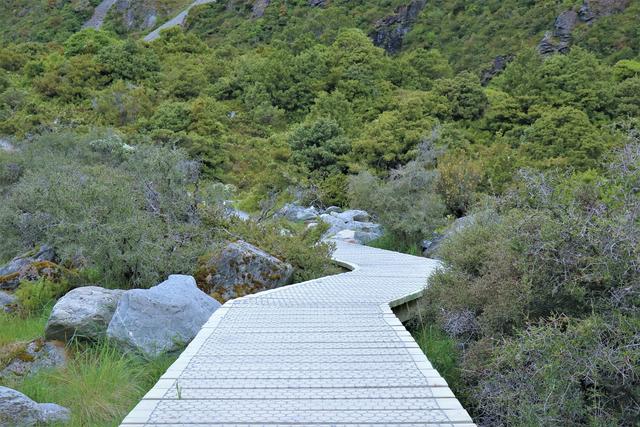 新西蘭自助游攻略,庫克山國家公園徒步看冰川