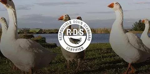 戶外睡袋,你該怎么選?