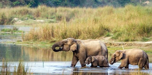 尼泊爾自由行,尼泊爾值得去的理由