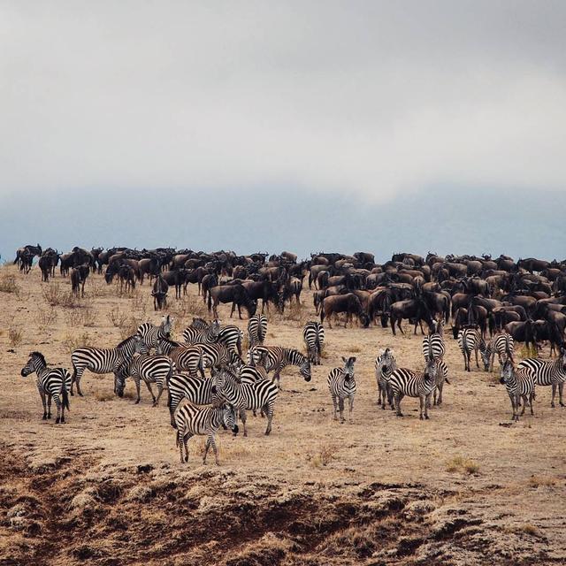 好想玩遍整個地球,人生必試的15項旅游清單你完成了多少項?