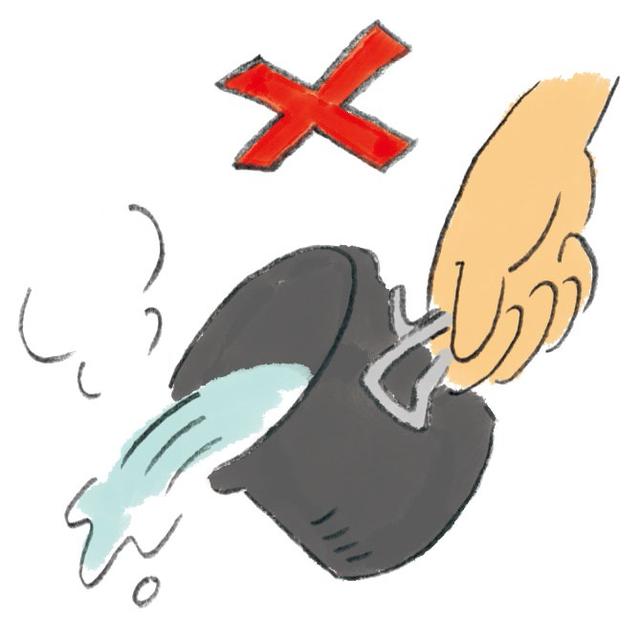 在野外露營如何進行野炊?這樣做才是真正的野炊