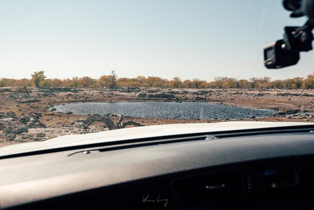 納米比亞自助游旅行指南,埃托沙國家公園介紹與旅行建議