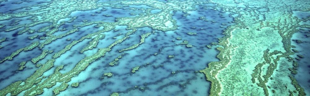 澳大利亞自由行,不可錯過的十大戶外旅游體驗