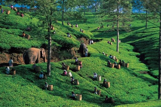 適合背包客獨自窮游的國家,來一場說走就走的旅行吧