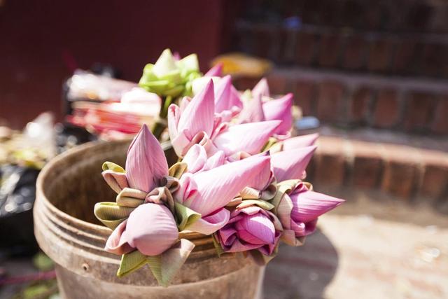 柬埔寨旅行須知,去柬埔寨旅游注意事項(xiàng)指南