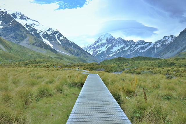 新西蘭自助游攻略,庫克山國家公園徒步看冰川