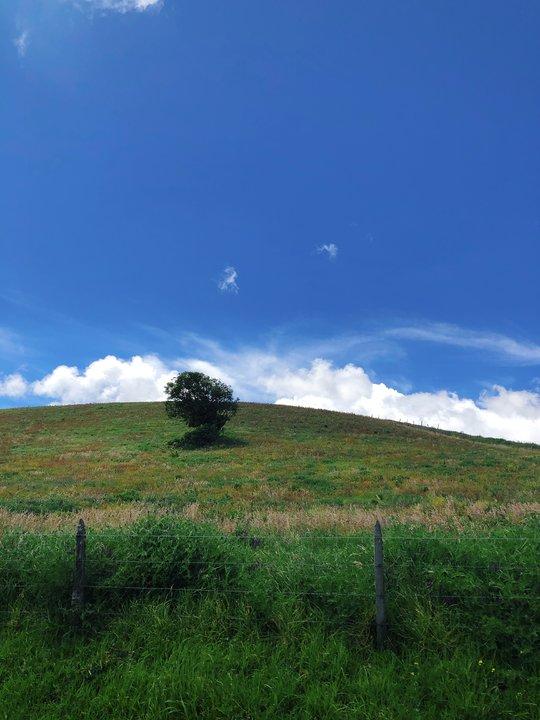 哥斯達黎加游記攻略,最高的活火山伊拉蘇火山徒步半日游