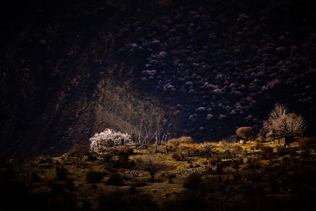 西藏旅游必去的幾個地方,沒去過的話不算到過西藏