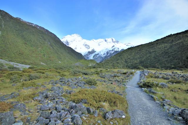 新西蘭自助游攻略,庫克山國家公園徒步看冰川