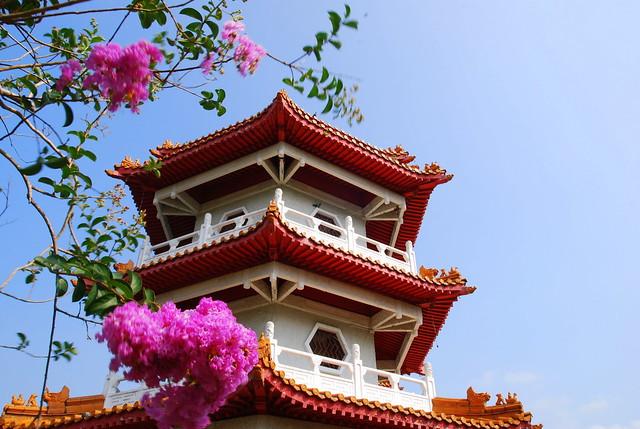 新加坡窮游攻略,新加坡8個免費熱門景點攻略