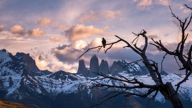 出境游值得去的旅行目的地,羅弗敦群島與巴塔哥尼亞
