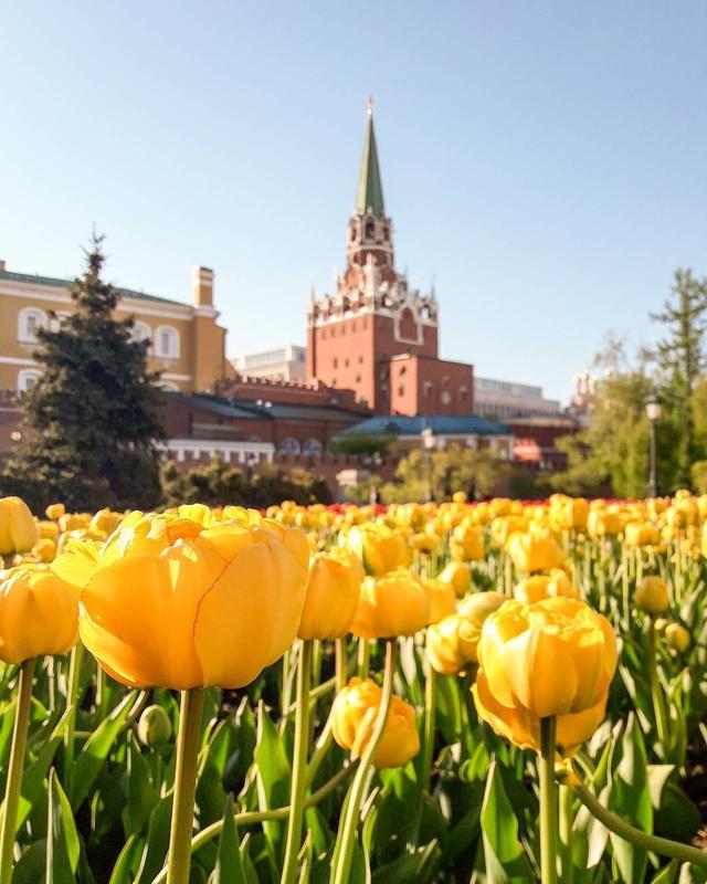 俄羅斯自助游旅行指南,俄羅斯自由行十日旅游攻略行程安排