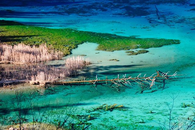 如何預防和應對高原反應?旅行前要了解一下